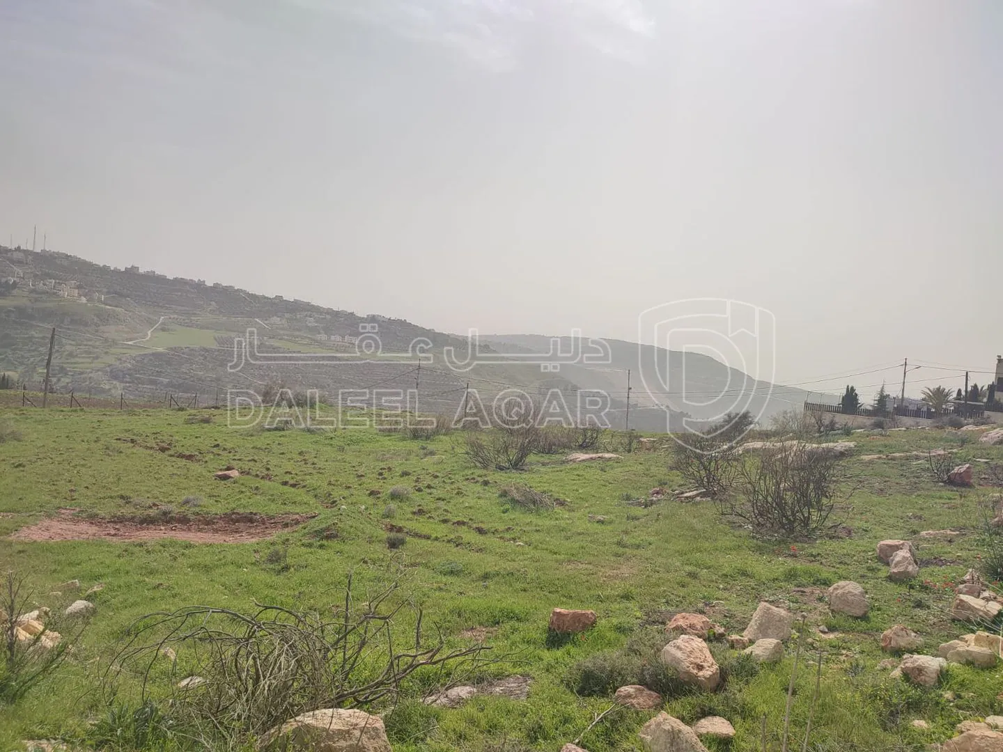أرض في قطعة  ارض للبيع في عيون الجاموس من اراضي ناعور - 133,560 دأ - صورة 1